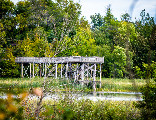 viewing platform at wildlife refuge